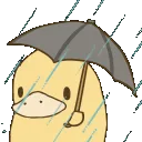 duckrain