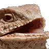 heh