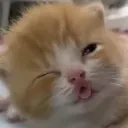 huhwha huhwha