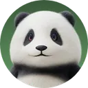 Fubao_Portraitphotoaidcomcropped