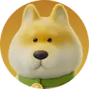 Hachi_Shibaphotoaidcomcropped