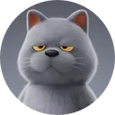 Leviphotoaidcomcropped