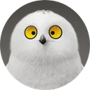 MoonmoonAvatarphotoaidcomcropped