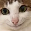 bao