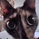 oo oo
