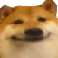 CheemsSmile