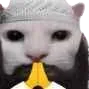 catPray