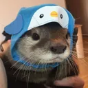 otterstand