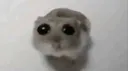 c_