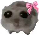Sad_Hamst Sad_Hamst