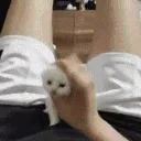 him