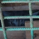 Kumi_Jail Kumi_Jail