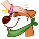 dogpat