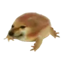 frdog