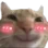 swagblush