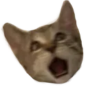 halp