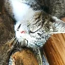 Kumi_Sleeping