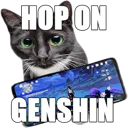 hop_on_genshin