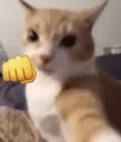 Immaeatu