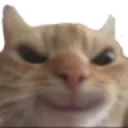 dr_catmischief dr_catmischief