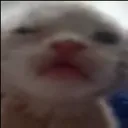 huh