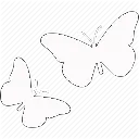 1wbutterfly
