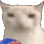 CatMiam CatMiam