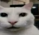 huh