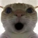 emoji_206