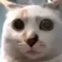 oh