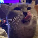 yummy