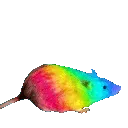rat_GayRatJam