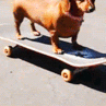 PuppySkating Discord emoji