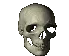 skullspinfast
