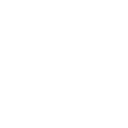 white white