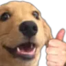 dogthumbsup