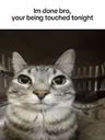 yourgettingtouched yourgettingtouched