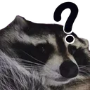 RacoonWhat RacoonWhat