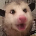 shocked