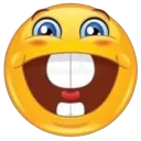 3_face_joy