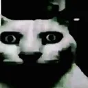 YOUWHAT
