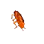 dancebarata