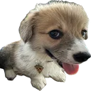 GooberHappy
