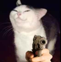 CatGun Discord emoji