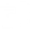 speedrun