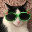 catgreenglasses Discord sticker from Realm Explorer | Find & Promote