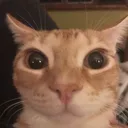re