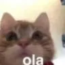 ola