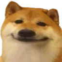SmileDog SmileDog