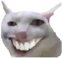 teef